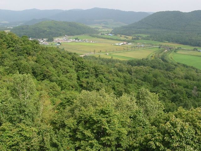 ��҂̋��O���[���p�[�N�W�]�䂩��̒���_�]�O�ʎ�҂̋�