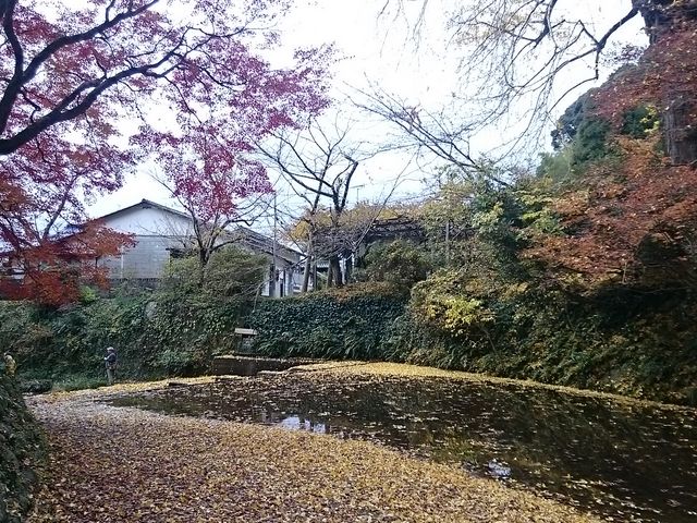 ���F�������t�̂��イ����ƍg�t���L���C_�v�R������n��