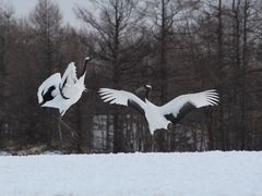 yk̒ߋEɓ^`ETN`Aւ̓eʐ^3