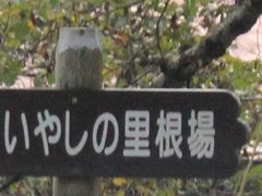 Gh̐΂₵̗ւ̓eʐ^1