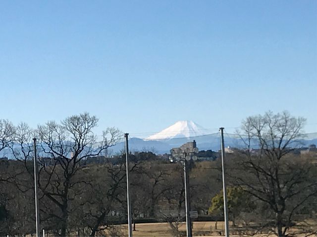 ヤクルト戸田練習場挟んでの富士山です。_荒川河川敷