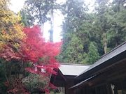 Xkv̈ɖVƍc_{̓eʐ^1