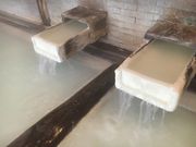 ܂Ƃ񂿂񂳂̛ԉ̓eʐ^1