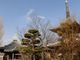 ぼりさんの地蔵寺（徳島県小松島市）の投稿写真6