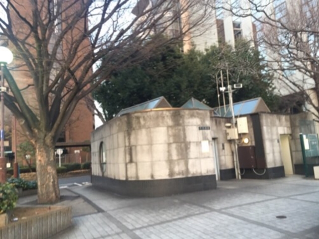 �؁X�����͋C�ǂ��ł��B_�l�c�J�w�O�L��