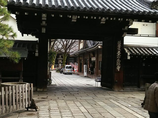 ����_�{�\��