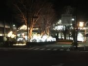 ~bVF̌yόēiywj̓eʐ^4