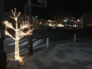 ~bVF̌yόēiywj̓eʐ^5