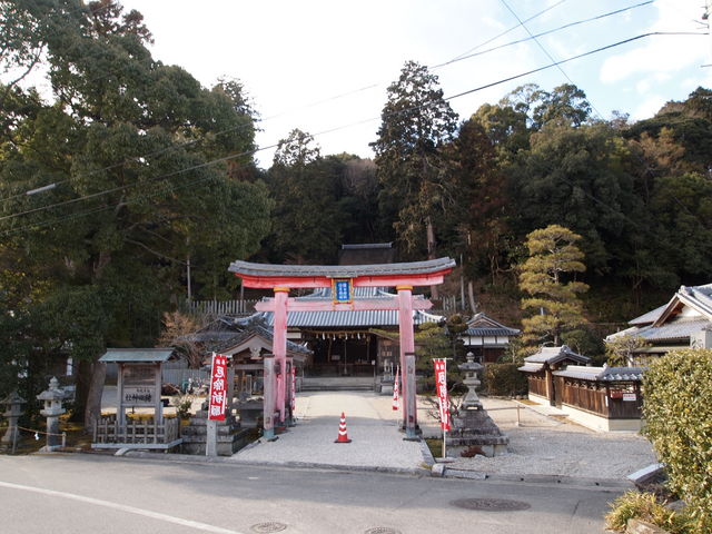 �˂�����񂳂�̒��c�_�Ђ̓��e�ʐ^8