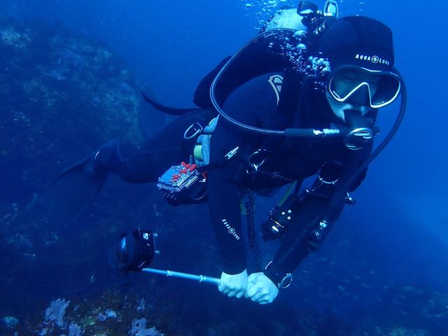 �����̎ʐ^�ŋ��k�ł�_���[�t�@���C�_�[�Y