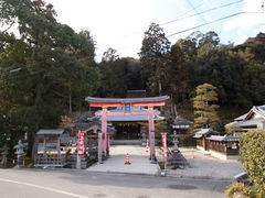 �˂�����񂳂�̒��c�_�Ђւ̓��e�ʐ^1