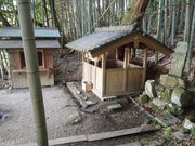 �˂�����񂳂�̒��c�_�Ђ̓��e�ʐ^6