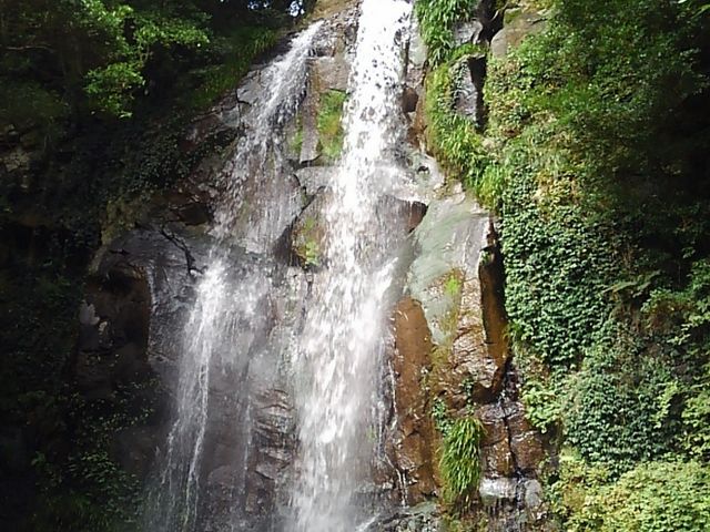 (�L�E�ցE�M)����̐����P��̓��e�ʐ^1