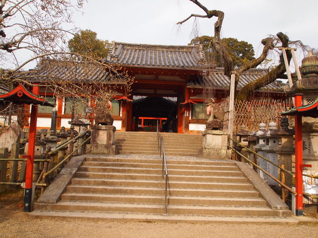fcde1_0003900605_2.JPG