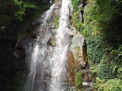 (�L�E�ցE�M)����̐����P��ւ̓��e�ʐ^1