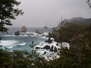 ܂񂳂̐CRH̓eʐ^1