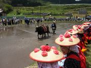 ������񂳂�̔���k�J�̓��e�ʐ^1