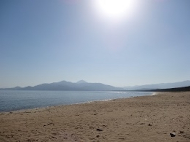 ���̕l�C������_���̕l�C������