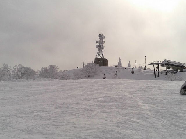 ����܂����c_�і��R