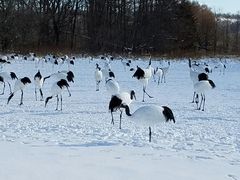 ݁[̒ߋEɓ^`ETN`Aւ̓eʐ^1