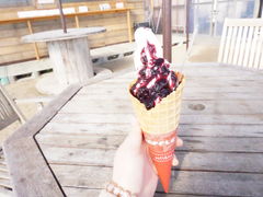 zoooo̕ct@[@x[ւ̓eʐ^1