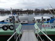 higekuma50̏x̓n Ƃō̓eʐ^1