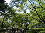 񂳂ITCՃejXZ^[̓eʐ^1