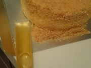 yoshimrãAEVpeBG kX̓eʐ^1