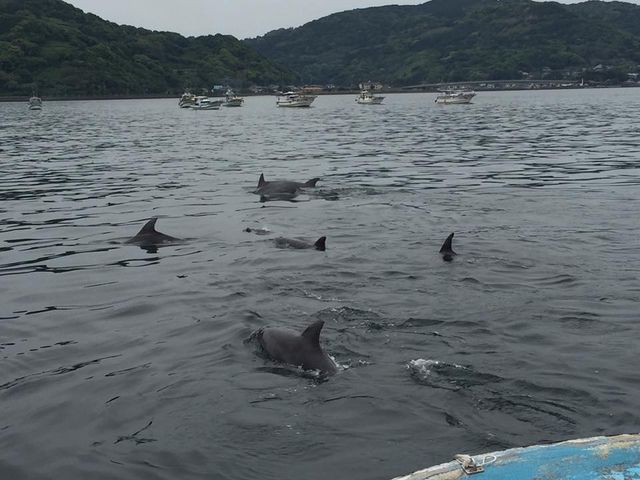 ��R�̃E�I�b�`���O�D���o�Ă��܂��I_�C���J�E�H�b�`���O�i���̉w �V���s�C���J�Z���^�[�j