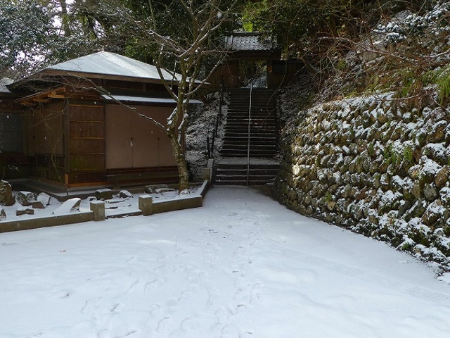 ���s�{���s�s������E�Ɣn�R_�Ɣn�R