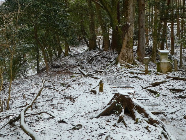 ���s�{���s�s������E�Ɣn�R_�Ɣn�R