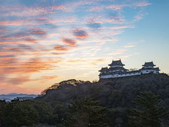 tendkf̘a̎Rւ̓eʐ^1