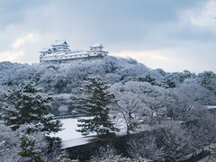 tendkf̘a̎Rւ̓eʐ^1