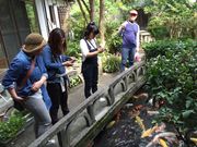 Ђ͂񂳂̌̕ĉ̓eʐ^3