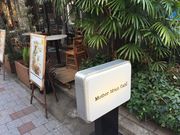 䂫ȂMother Moon Cafe* }U[[JtF O{{X̓eʐ^1