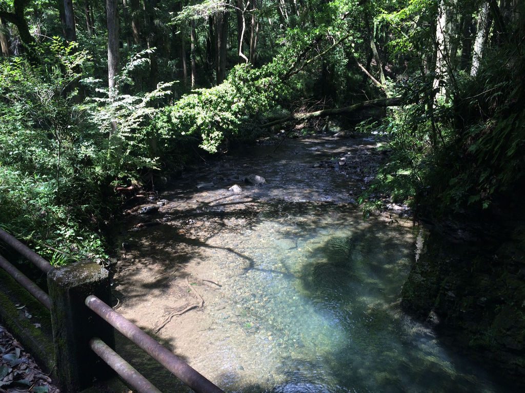 近く の 川