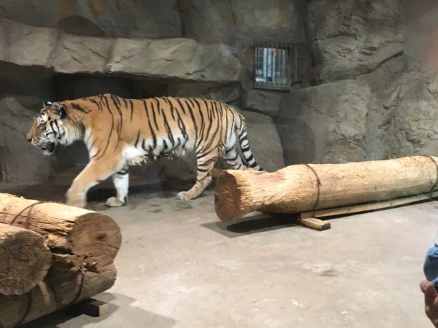 �s�݂̓����������̂������c�O_�~�R������