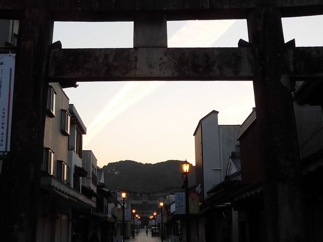 �A_���j�̎U����