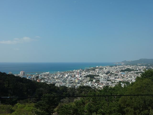 �V��W�]�䂩��_�r�W�^�[�Z���^�[�@�iSbaco)