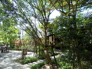 񂳂̓ޗǒ@т̋̓eʐ^2