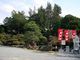 世田谷区等々力の住人さんの宝寿院庭園の投稿写真1