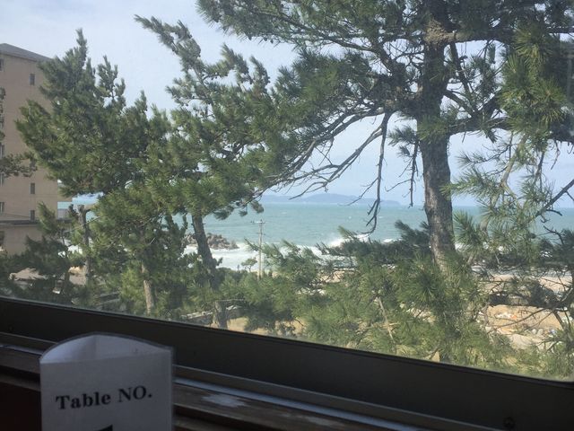 �V�C�������Ɣ��g�������܂�(^^)_������