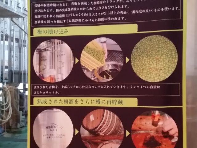 �~���̍���_�~�𑠂������