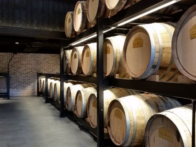 �M������_�~�𑠂������