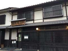 �}���[����̗Ύ��������ւ̓��e�ʐ^1