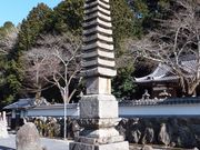 ���ڂ炳��̕����A���̓��e�ʐ^6