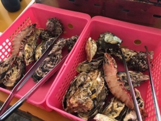 �G�r�A�z�^�e�A�T�U�G�A���y�Ƒ喞��_�L�h�ہ@�J�L�̍��X��