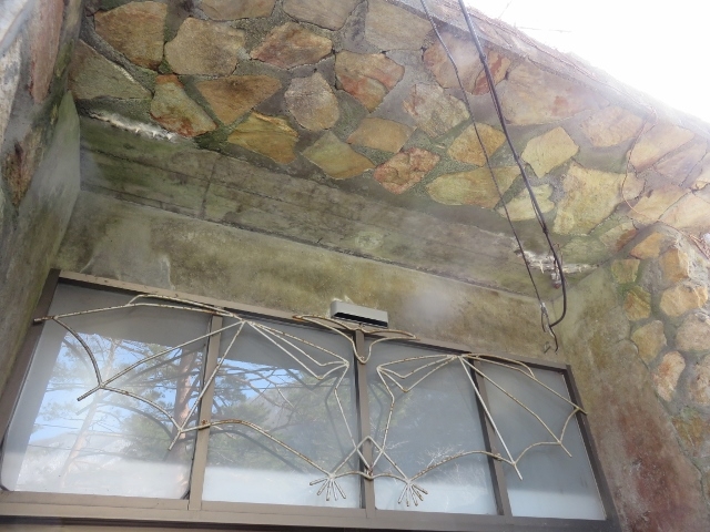 �O��_����V���Ȋw��