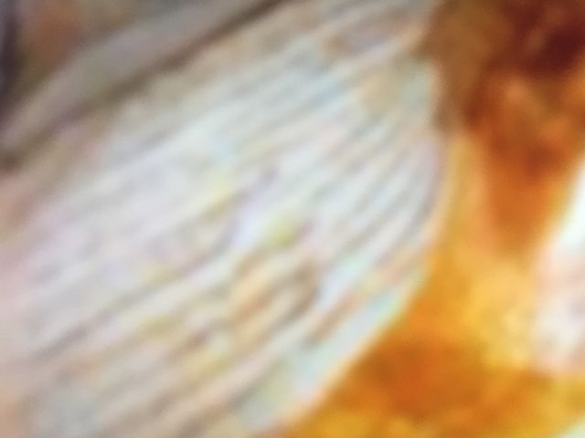 �~���N���[�v_�h�g�[���R�[�q�[�V���b�v��}�W�H�X