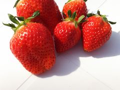 ł肩}}̂_ꂢւ̓eʐ^1